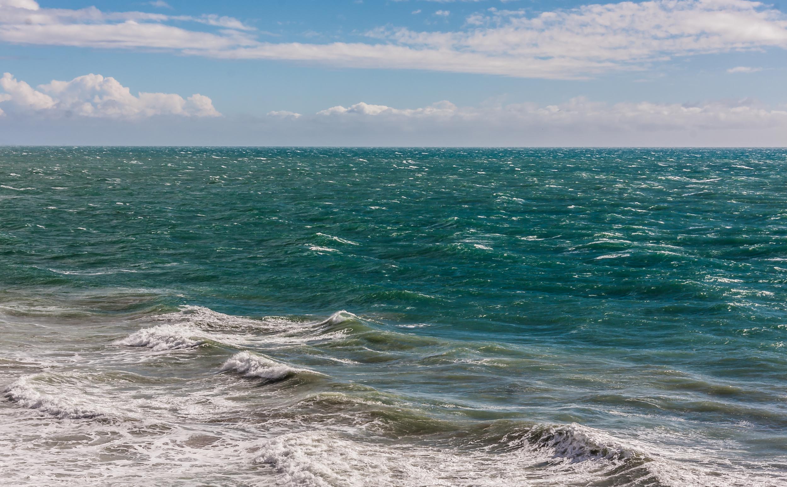 carpenteria_20160131-14