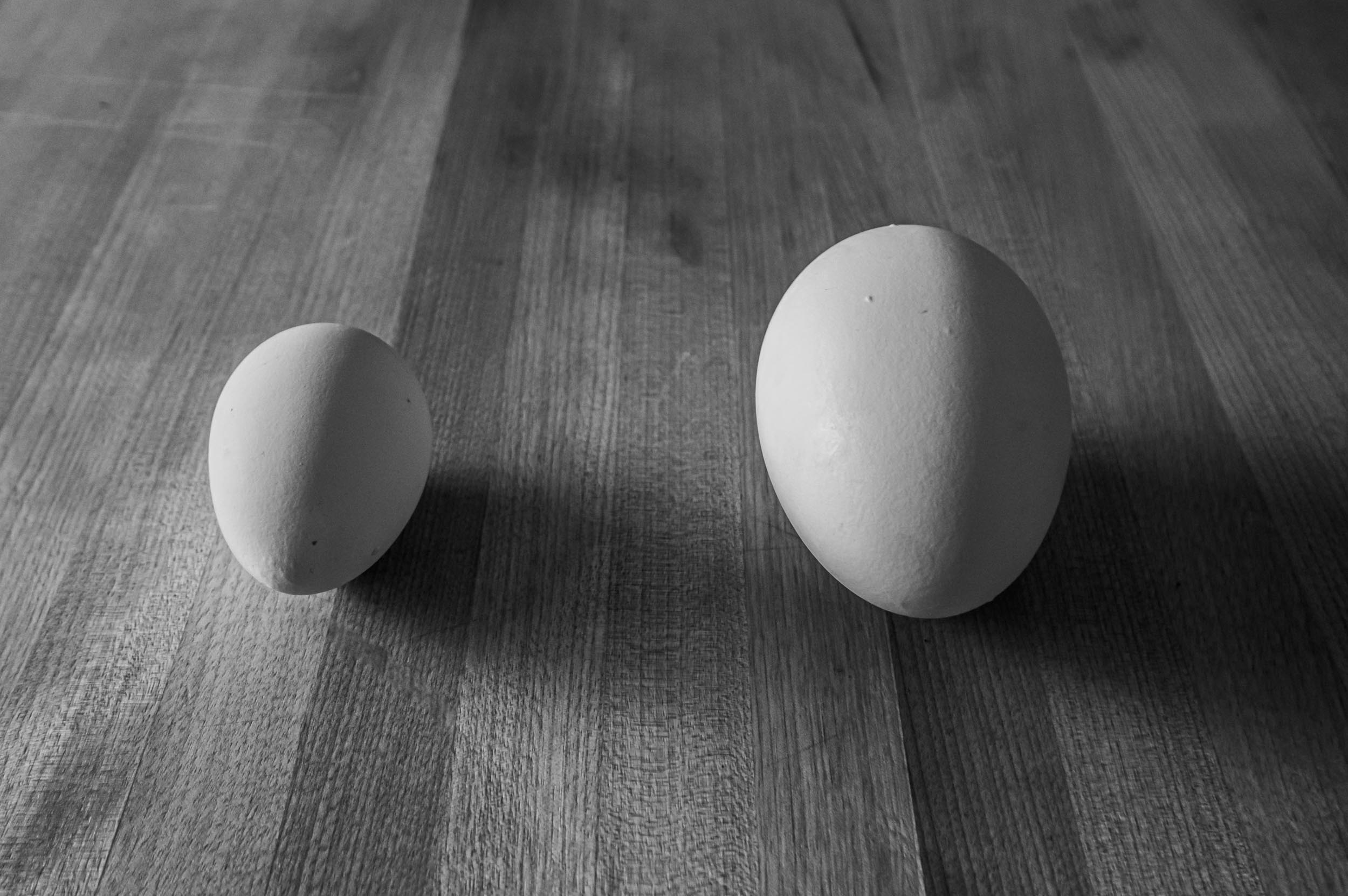 eggs_goose_chicken_201905-4
